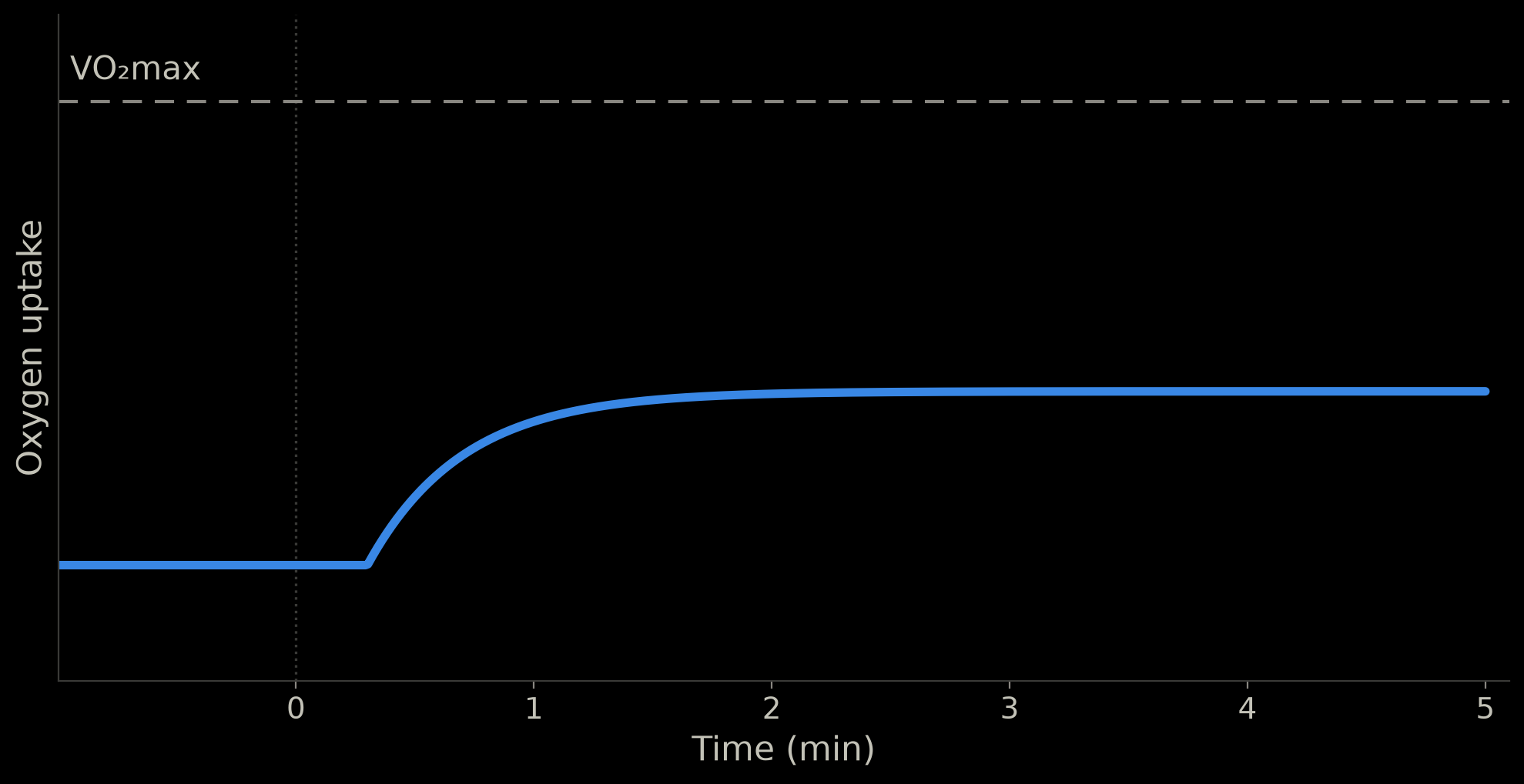 Schematic: oxygen uptake rises after exercise starts and levels off within about two minutes, well below VO2max