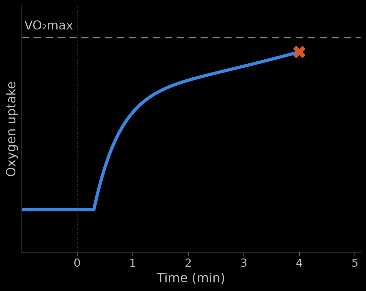 Schematic: oxygen uptake keeps rising and is still below VO2max at the stop at 4 minutes