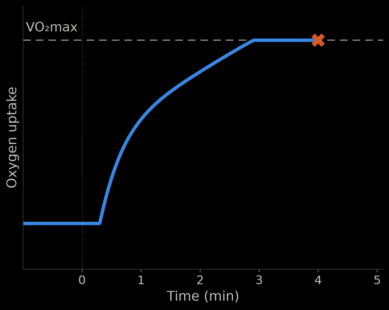 Schematic: oxygen uptake keeps rising, reaches VO2max at about 3 minutes and stays there until the stop at 4 minutes