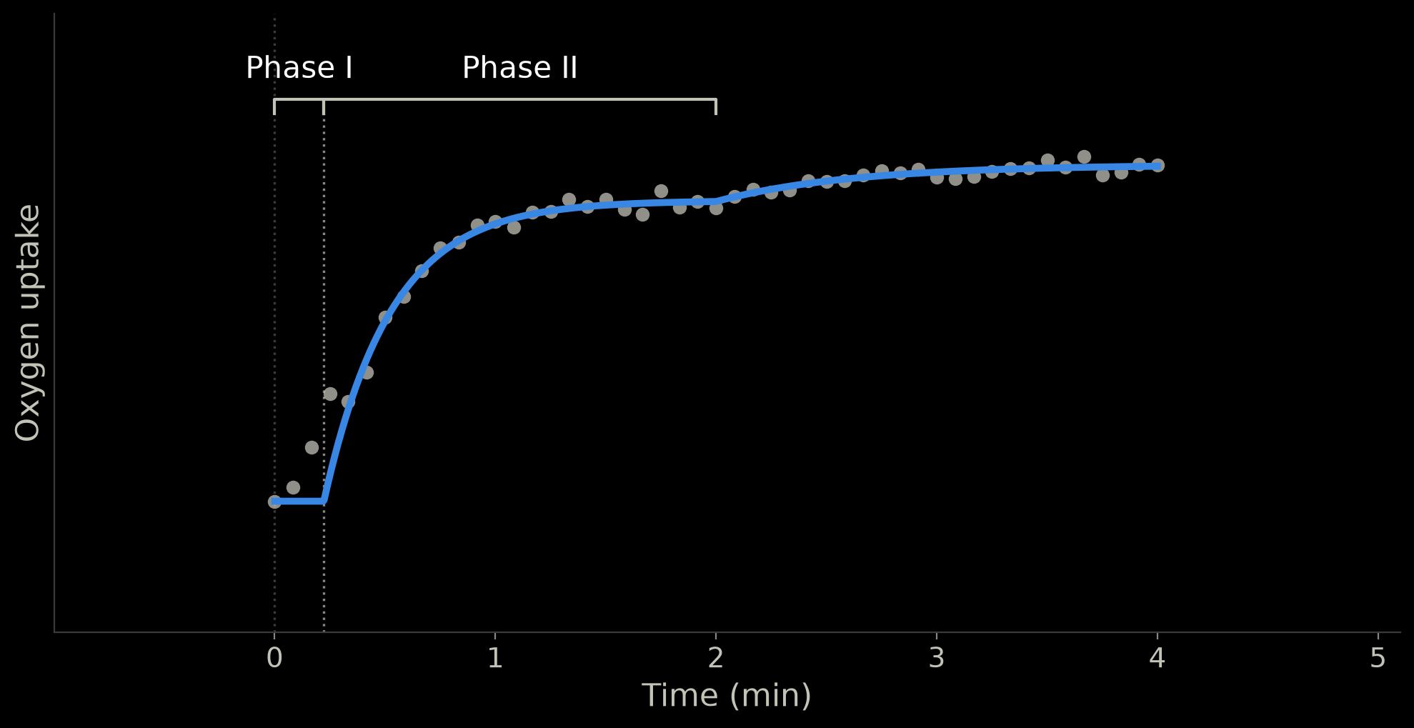 Phase II marked: the main rise, until about 2 minutes