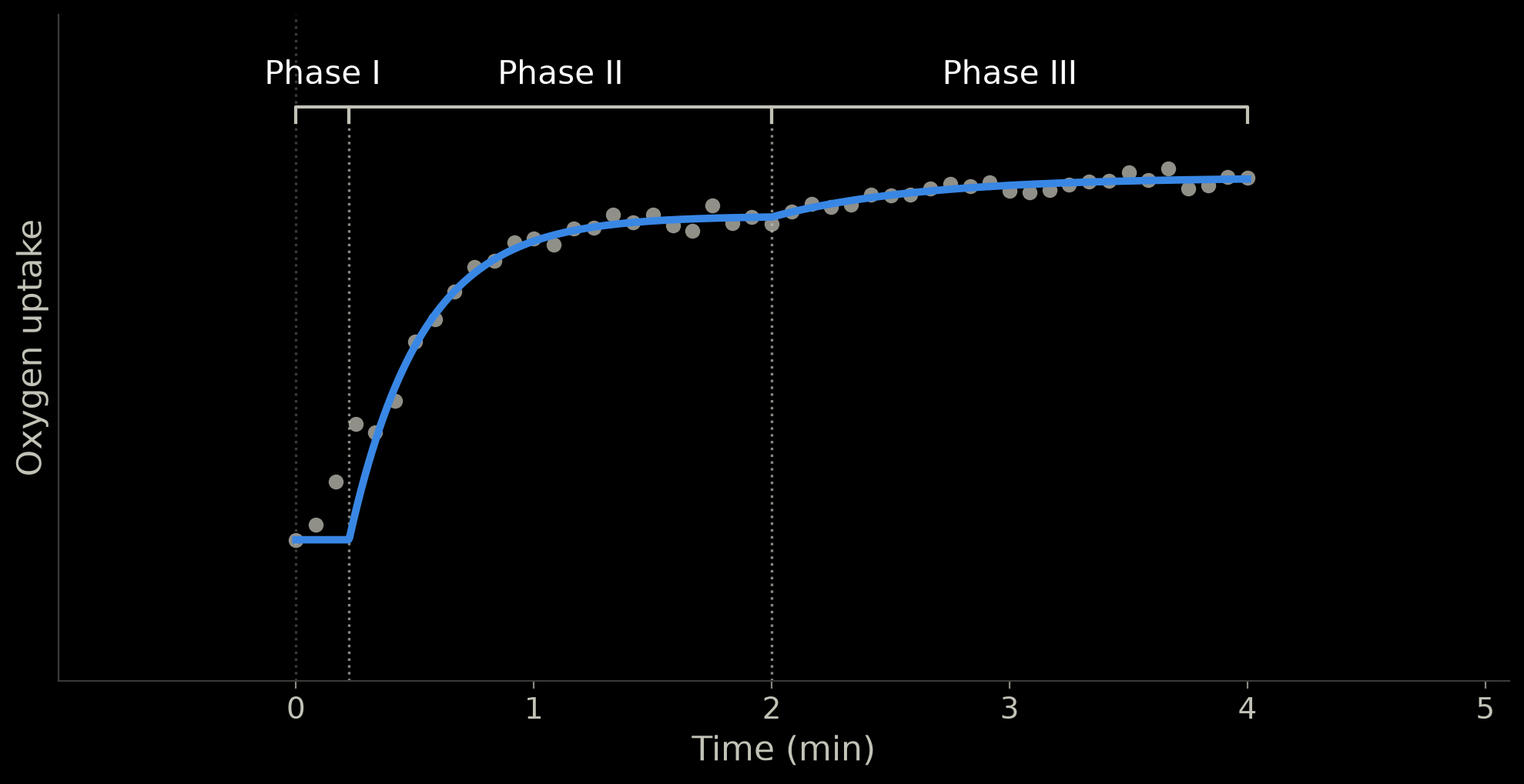 Phase III marked: the slow rise from about 2 minutes to the end